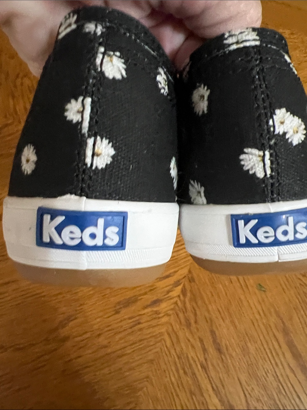 Keds Black Daisy Canvas Sneakers with White Laces - Picture 7 of 8